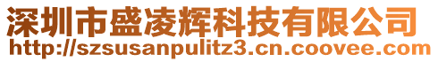 深圳市盛凌輝科技有限公司