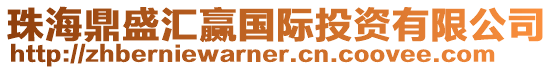 珠海鼎盛匯贏國際投資有限公司