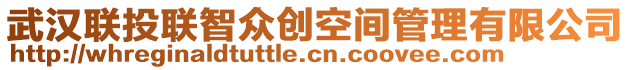 武漢聯(lián)投聯(lián)智眾創(chuàng)空間管理有限公司