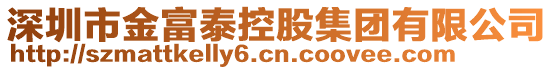 深圳市金富泰控股集團有限公司