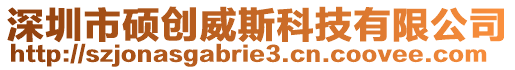 深圳市碩創(chuàng)威斯科技有限公司