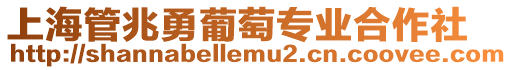 上海管兆勇葡萄專業合作社