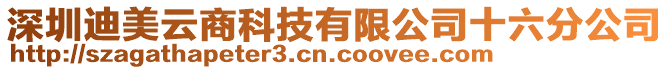 深圳迪美云商科技有限公司十六分公司