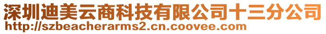 深圳迪美云商科技有限公司十三分公司