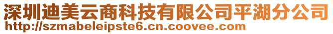 深圳迪美云商科技有限公司平湖分公司