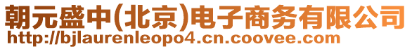 朝元盛中(北京)電子商務(wù)有限公司