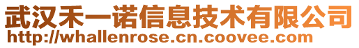 武漢禾一諾信息技術有限公司