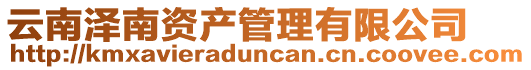 云南澤南資產管理有限公司