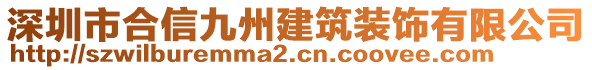 深圳市合信九州建筑裝飾有限公司