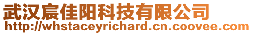 武漢宸佳陽科技有限公司