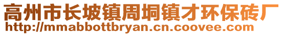 高州市長坡鎮(zhèn)周垌鎮(zhèn)才環(huán)保磚廠