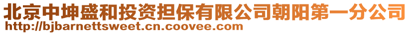 北京中坤盛和投資擔保有限公司朝陽第一分公司