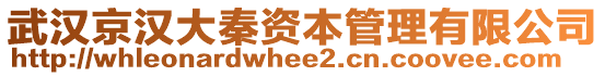 武漢京漢大秦資本管理有限公司