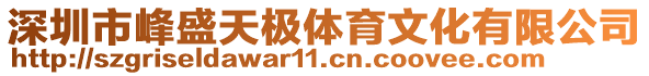 深圳市峰盛天極體育文化有限公司