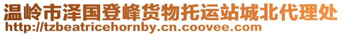 溫嶺市澤國登峰貨物托運站城北代理處