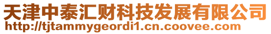 天津中泰匯財(cái)科技發(fā)展有限公司