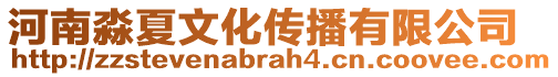 河南淼夏文化傳播有限公司