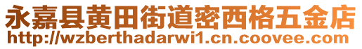 永嘉縣黃田街道密西格五金店