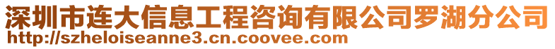 深圳市連大信息工程咨詢有限公司羅湖分公司