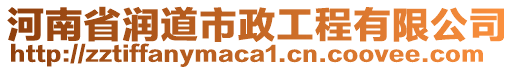 河南省潤道市政工程有限公司