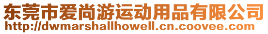 東莞市愛尚游運(yùn)動(dòng)用品有限公司