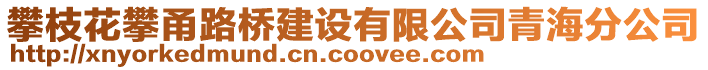 攀枝花攀甬路橋建設有限公司青海分公司