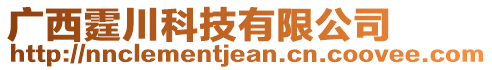 廣西霆川科技有限公司