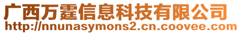 廣西萬(wàn)霆信息科技有限公司