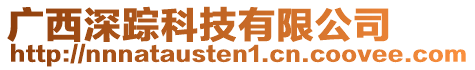 廣西深蹤科技有限公司