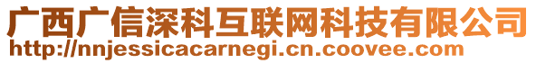 廣西廣信深科互聯(lián)網(wǎng)科技有限公司