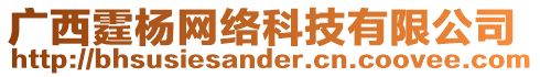 廣西霆楊網絡科技有限公司