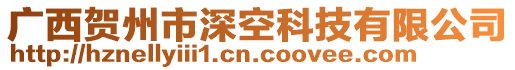 廣西賀州市深空科技有限公司