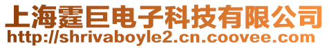 上海霆巨電子科技有限公司