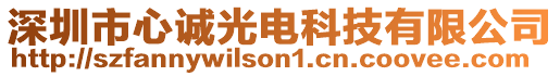 深圳市心誠光電科技有限公司