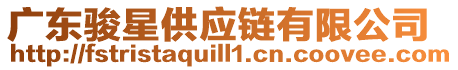 廣東駿星供應(yīng)鏈有限公司