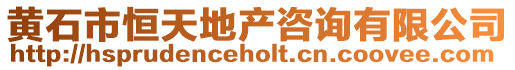 黃石市恒天地產咨詢有限公司