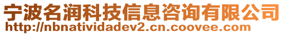 寧波名潤科技信息咨詢有限公司