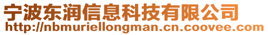 寧波東潤信息科技有限公司