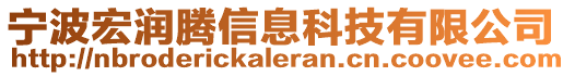 寧波宏潤騰信息科技有限公司