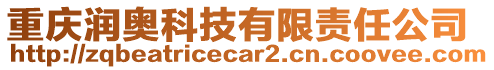 重慶潤奧科技有限責任公司