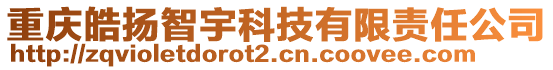 重慶皓揚智宇科技有限責任公司