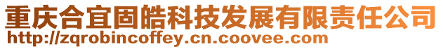 重慶合宜固皓科技發(fā)展有限責(zé)任公司