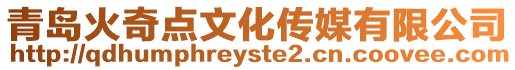 青島火奇點文化傳媒有限公司