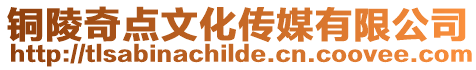 銅陵奇點文化傳媒有限公司