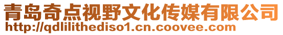 青島奇點視野文化傳媒有限公司