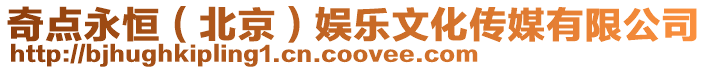 奇點永恒（北京）娛樂文化傳媒有限公司