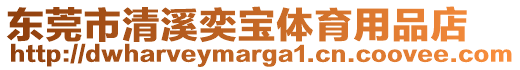 東莞市清溪奕寶體育用品店