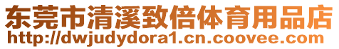 東莞市清溪致倍體育用品店