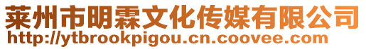 萊州市明霖文化傳媒有限公司
