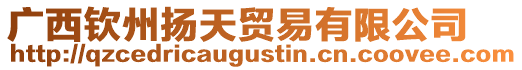 廣西欽州揚天貿易有限公司